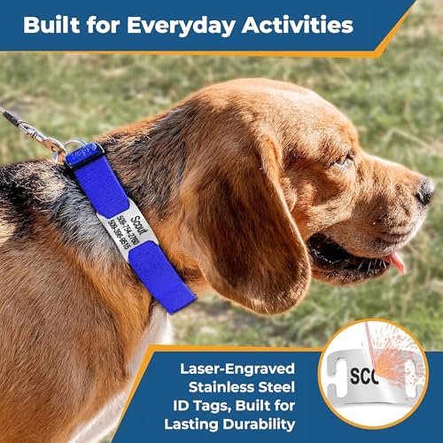 Dog Collar with Personalized Nameplate (Classic / X-Small (Pack of 1))