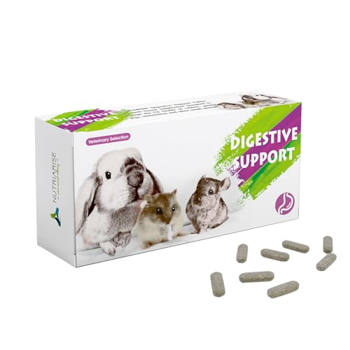 Rabbit Digestive Treats