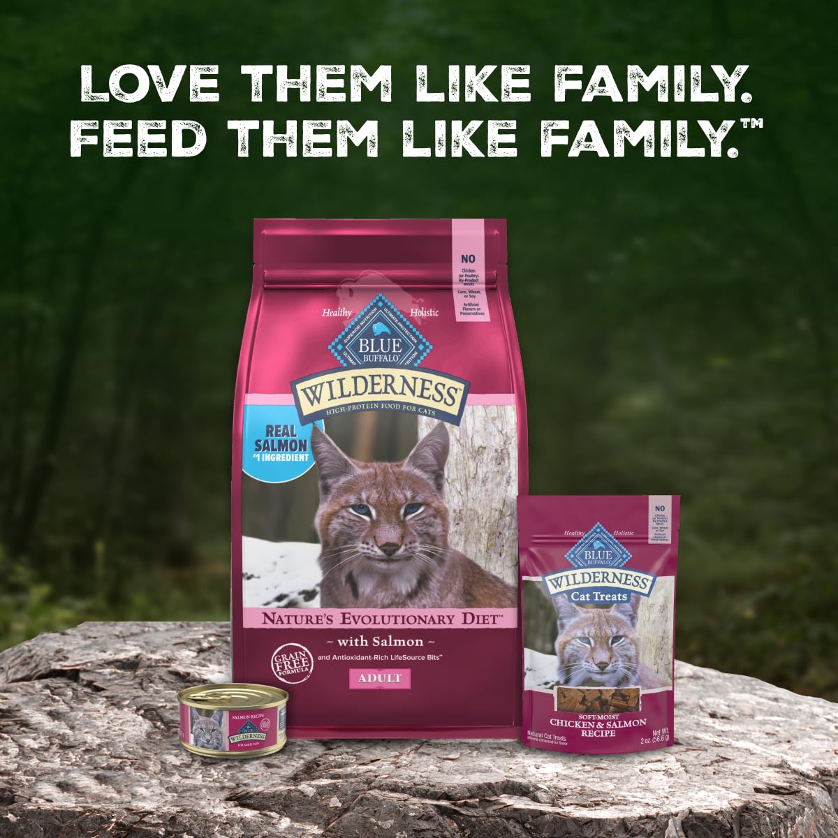 Wilderness Salmon Adult Dry Cat Food (5 Pound (Pack of 1))