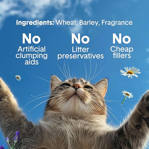 Boxie Scented Lightweight Cat Litter 30+ Day Odor Control Dust Free 16.5 lb (3 MONTH (16.5 LB))