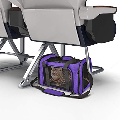 Pet Carrier for Small Medium Cats Dogs Puppies up to 15 Lbs (17.0"L x 11.0"W x 11.0"H / Purple)