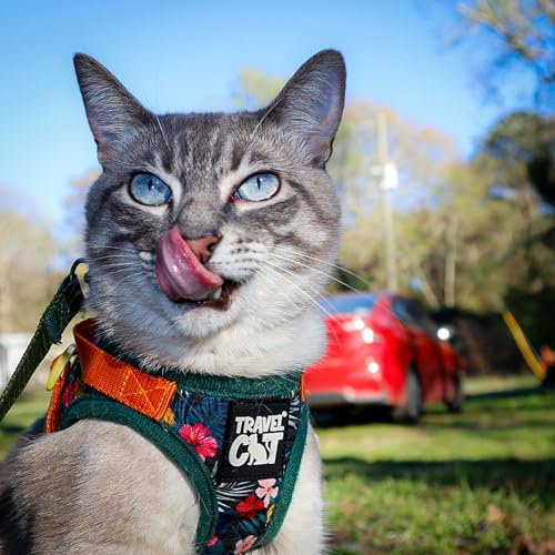Travel Cat Harness and Leash Set (X-Small / Hawaiian)