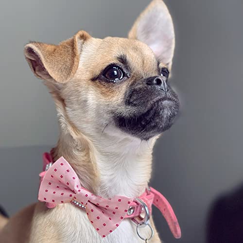 Dog Bow Tie 50 Pcs Adjustable Elastic Rubber Band Double Layer Bow Ties for Small Medium Large Dogs & Big Cats Pet Collar Charms Accessories Bowties for Birthday Wedding Parties (Medium)