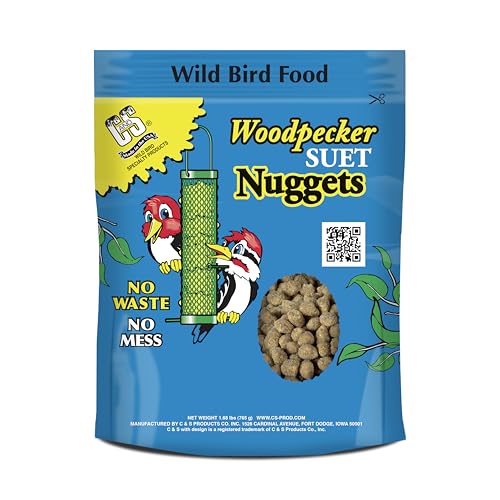 Berry Flavor Suet Nuggets (1.69 Pound (Pack of 1))