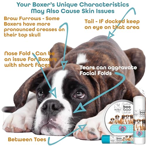 2 oz TIN Boxer Booboo Butter (2 Ounce / Boxer)