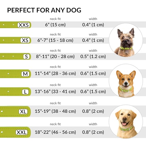 Tangle Free Rolled Leather Dog Collar (Lime Green / XXS)