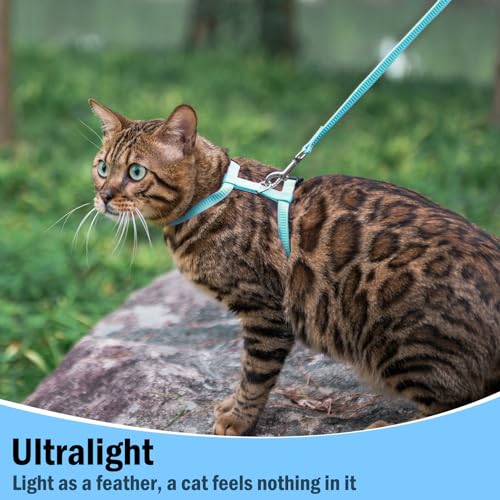 Adjustable Cat Harness and Leash Set Escape Proof Kitten Strap Collar for Walking Travel (Medium / Sky Blue)