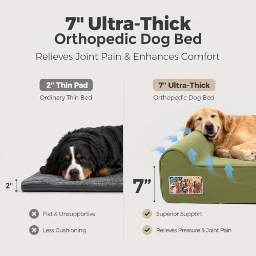 Orthopedic Dog Beds for Extra Large Dogs (XX-Large / Canvas-Green)