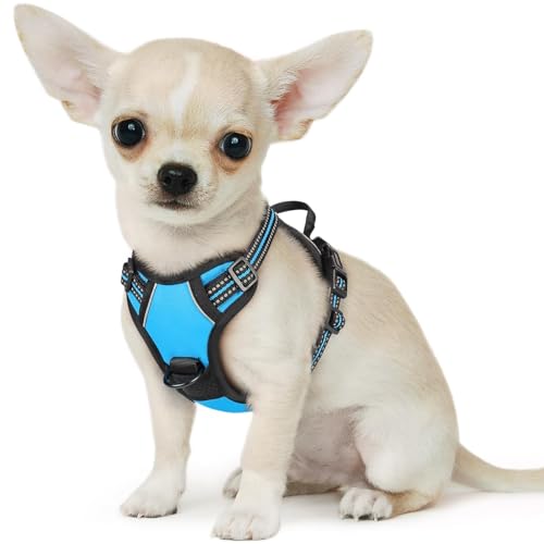 Dog Harness for Small Dogs (X-Small / Sky Blue)