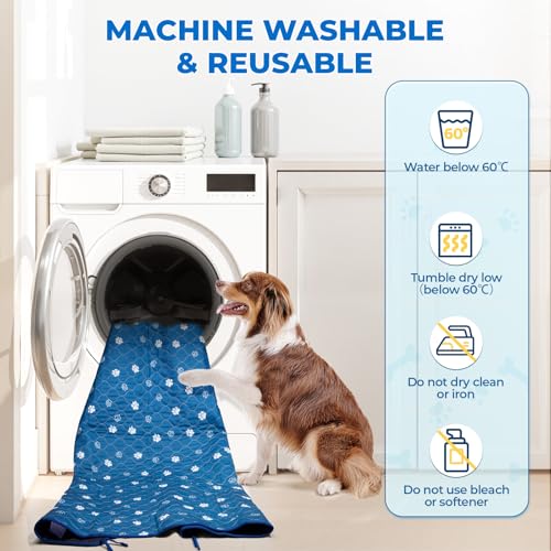 Washable Pee Pads for Dogs (Blue / 54*54 Inch (Pack of 2))