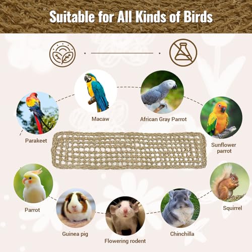 2Pcs 29.5 x 7 inches Large Bird Seagrass Mat Grass Woven Net Parrot Hammock Mat Parakeet Climbing Rope Ladder with Hooks Bird Cage Accessories for Conure Cockatiel Budgie Macaw Bearded Dragon (2PCS)