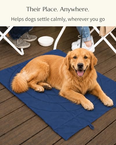 Dog Travel Mat (Blue)
