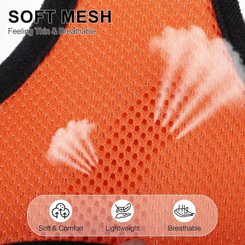 Small Dog Harness (S (NECK: 12", CHEST: 14"-18") / Orange)