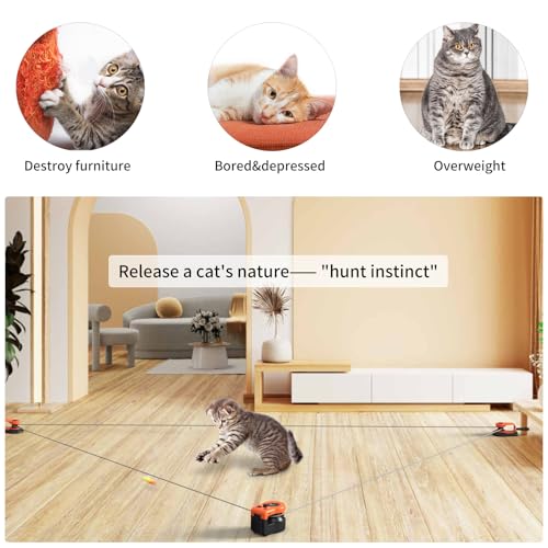 Interactive Cat Toy for Indoor Cats Chase (Bright Orange)