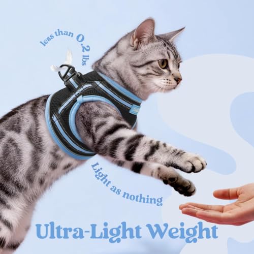 Cat Harness and Leash Set (M / Black & Light Blue)