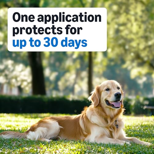 Preventative Flea and Tick Topical Treatment for Medium Dogs (6 Count)