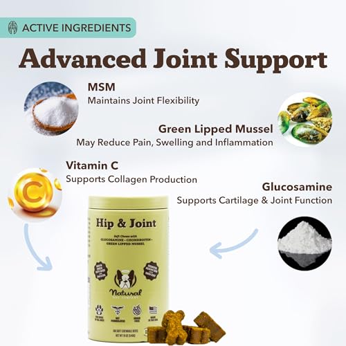 Hip & Joint Chews for Dogs (180 Count / Hip and Joint)