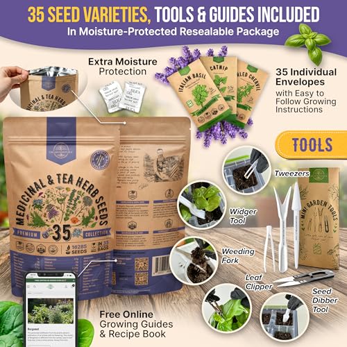 35 Medicinal & Tea Herb Seeds Variety Pack for Indoor & Outdoors. 16
