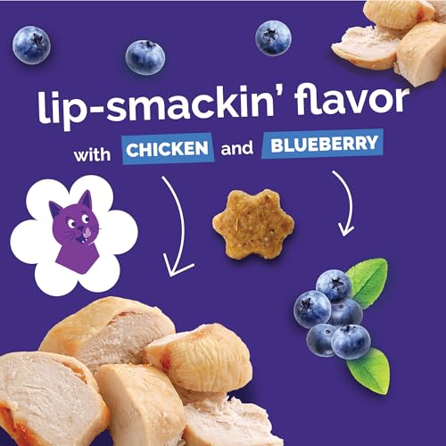 Crunchy Cat Treats (1.88 Pound (Pack of 1) / Chicken & Blueberry)