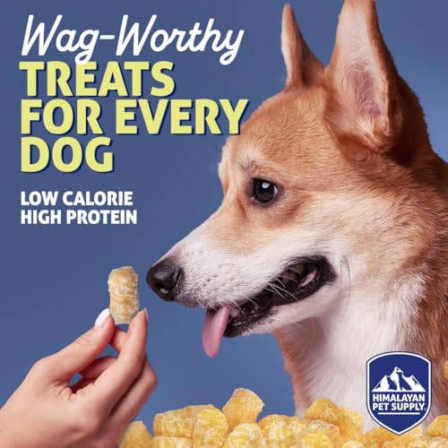 Barkeetos Crunchy Cheesy Dog Snacks (3 Ounce (Pack of 1))