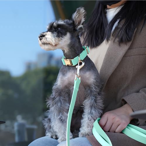 Soft PU Leather Dog Collar (M: Fit 13-19" Neck(20-55 lbs) / Mint Green)