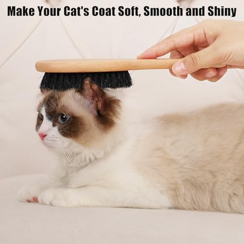 Boar Bristle Cat Brush with Wooden Handle (Wood)