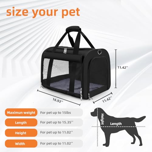 Cat Carrier Backpack (black)