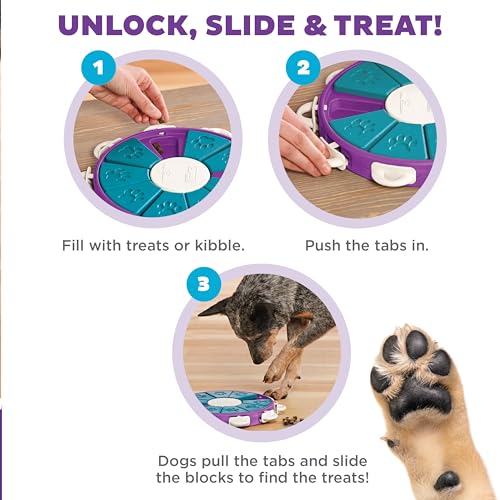 Nina Ottosson Dog Twister Dog Toy Treat Puzzle