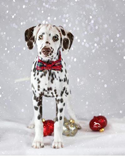 Christmas Dog and Cat Collar with Bow Pet Gift Adjustable Soft and Comfy Bowtie Collars for Small Medium Large Dogs (Medium / red plaid)