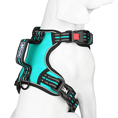 No Pull Dog Harness with 3 Leash Clips and Vertical Handle (Extra Large / Mint Blue)