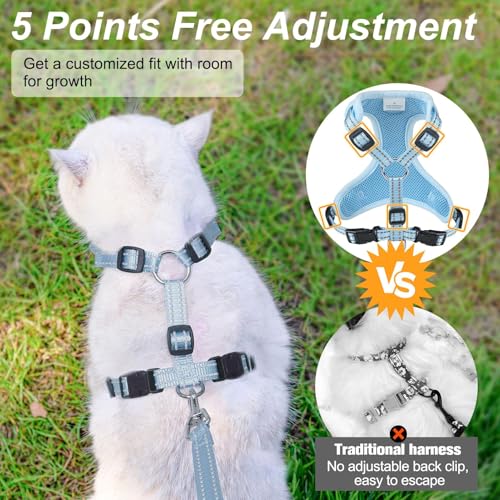 Cat Harness and Leash Set (Blue / M (Chest: 12 - 19"))