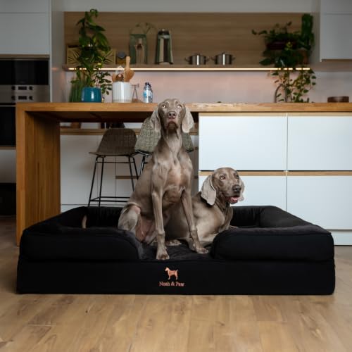 Large Dog Bed (Black - DE / X-Large)