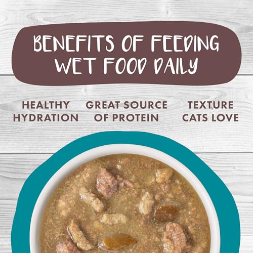 Classic Cat Stews!