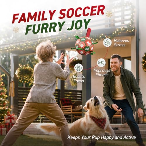 Christmas Dog Balls with Straps (Christmas 1 / Medium Size 2 (6 Inch))