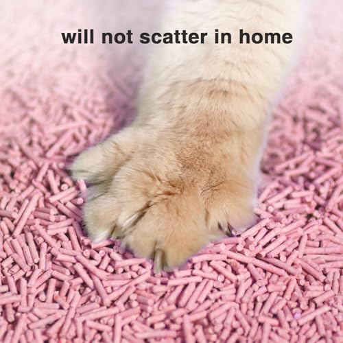 Dust Free Quickly Absorb Odors Natural Tofu Cat Litter 24LB