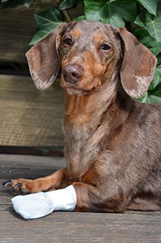 Medimitt Paw Bandages for Dogs (2XS 20-Pack)