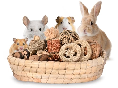 31PCS Rabbit Chew Treat Toys for Teeth Health (Chew Toys Set A)
