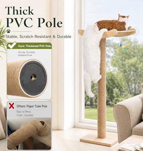 Cat Window Perch with Scratching Posts (Large)