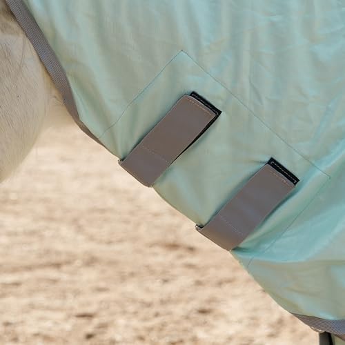 Horse Fly Sheet with Removable Neck Cover & Belly Wrap (Green / 72)