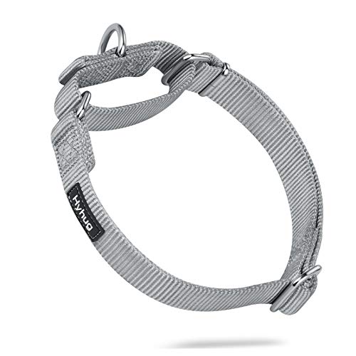 Martingale Dog Collars for Medium Dogs (Medium / Sleet Gray)
