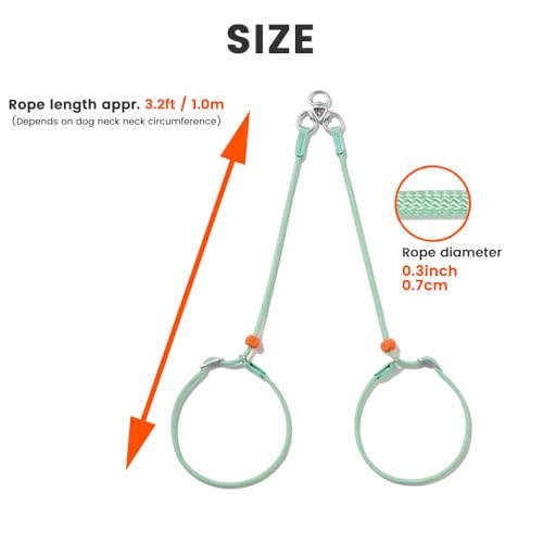 Slip Lead Leash 2 Dogs (Red / w/o Handle)