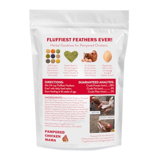 Molting Supplement for Chickens (1 Count (Pack of 1))