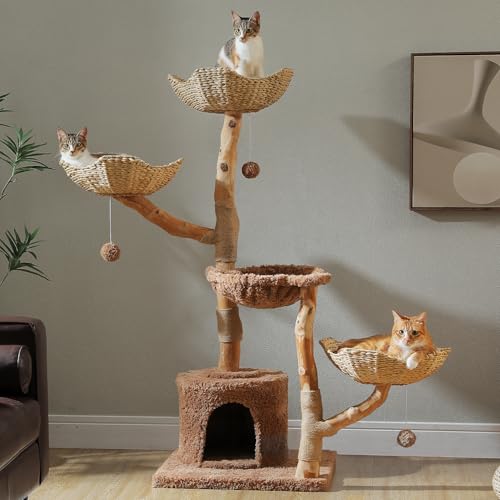 59" Modern Cat Tree for Large Cats (Brown / 59" Solid Wood Cat Tree)