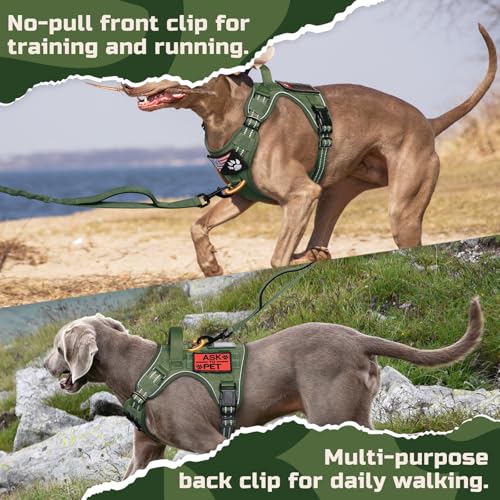 Tactical Dog Harness for Large (Green / Large)