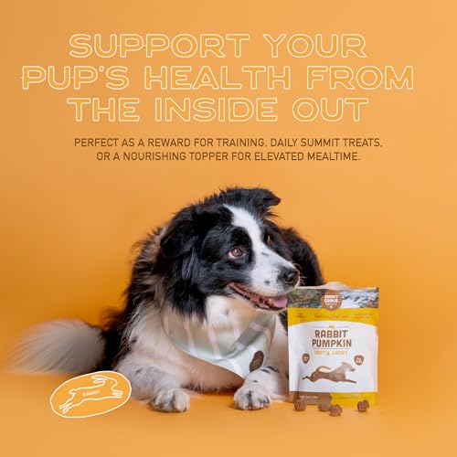 Healthy Soft Dog Treats (5 Ounce (Pack of 3))