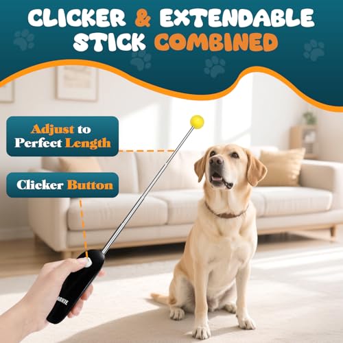 Dog Training Clicker with Target Stick