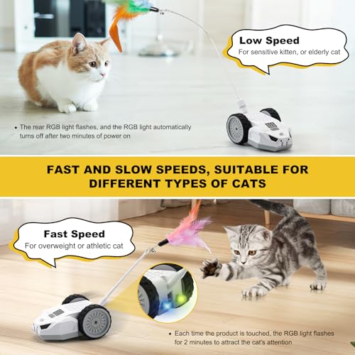 Interactive Cat Toys for Indoor Cats