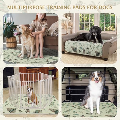 Washable Pee Pads for Dogs (Beige / 30x20 inch - 2pcs)
