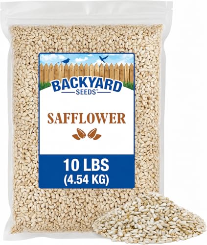 10LB Safflower Bird Seeds for Outside Feeders (Safflower / 10 Pound (Pack of 1))