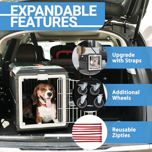 Pet Carrier with Pad (Small - Gray / with travel kit)